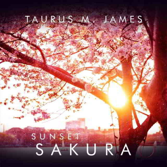 image for Sunset Sakura by Taurus M. James YouTube Playlist - Music Reflecting Transitions