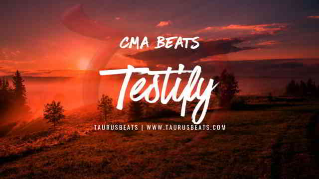 image for Testify
