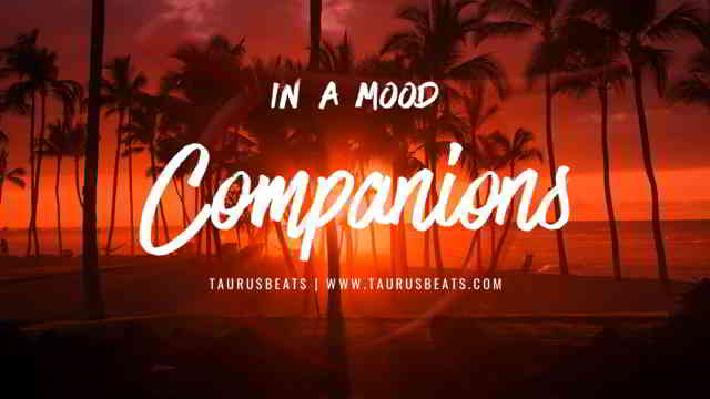 image for Companions