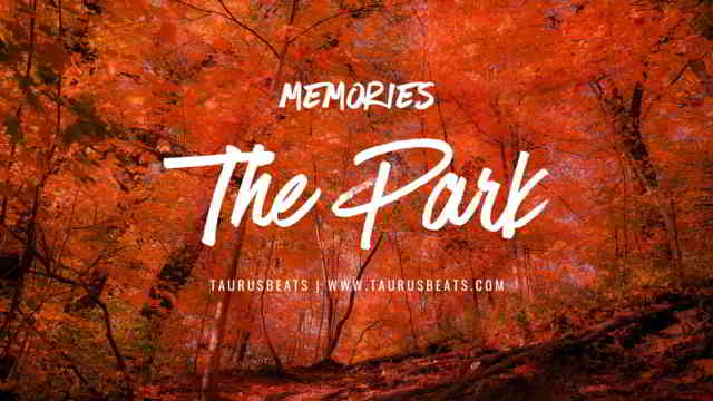 image for The Park