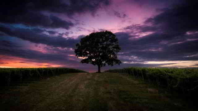 image for Moody Instrumental Music The Soundtrack of My Life