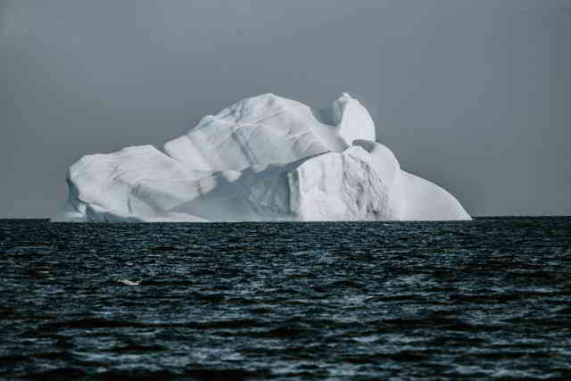 image for On The Surface