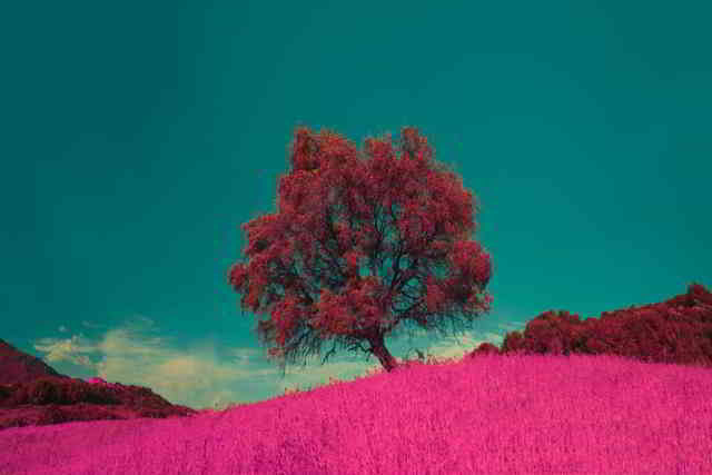 image for Chatter To Change